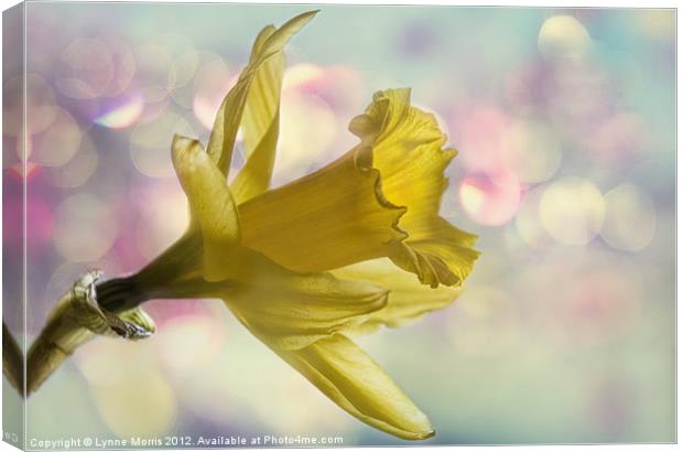 Dreaming Of Spring Canvas Print by Lynne Morris (Lswpp)