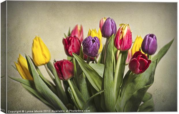 Colours Of Spring Canvas Print by Lynne Morris (Lswpp)