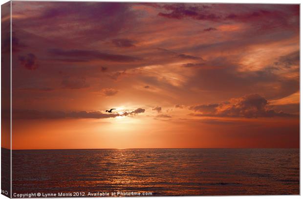 A Florida Sunset Canvas Print by Lynne Morris (Lswpp)