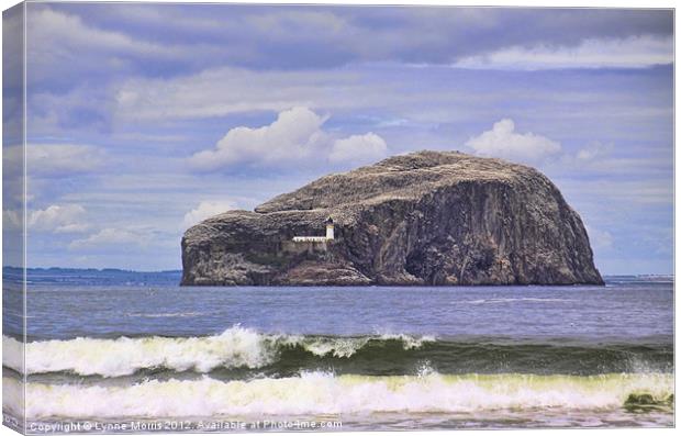 The Bass Rock Canvas Print by Lynne Morris (Lswpp)