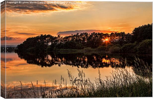 Summer Sunset Over Gladhouse Reservoir Canvas Print by Lynne Morris (Lswpp)