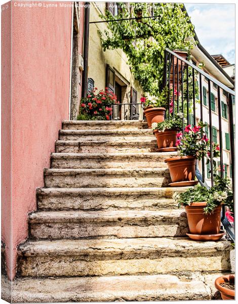  Typical Italian Steps Canvas Print by Lynne Morris (Lswpp)