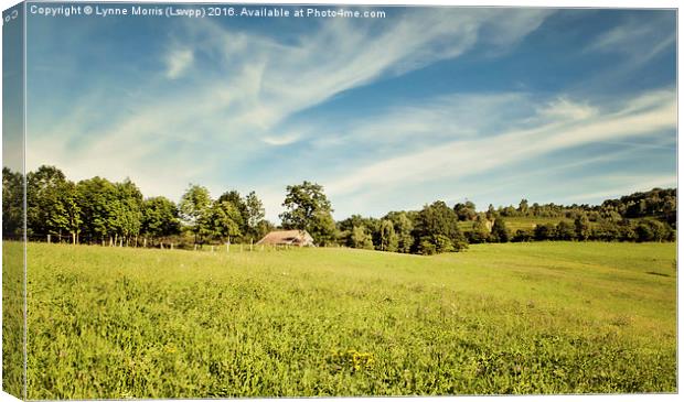  French Countryside Canvas Print by Lynne Morris (Lswpp)