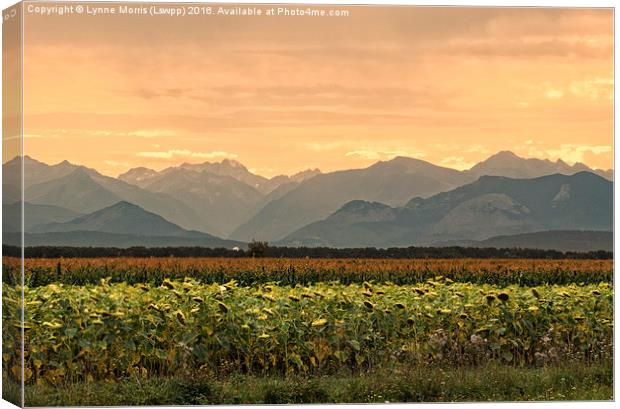  Sunset over the Pyrenees Canvas Print by Lynne Morris (Lswpp)