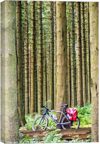 Bike In The Woods Canvas Print by Lynne Morris (Lswpp)