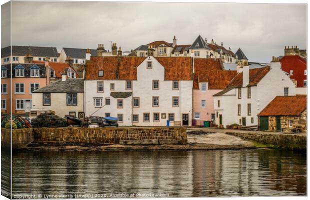 Pittenweem Harbour Canvas Print by Lynne Morris (Lswpp)