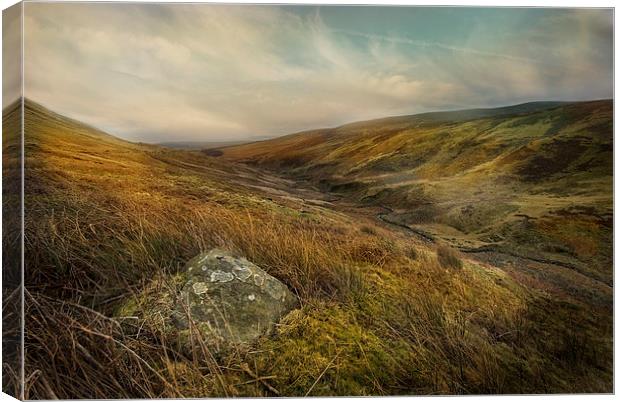The Forest of Bowland Canvas Print by Eddie John