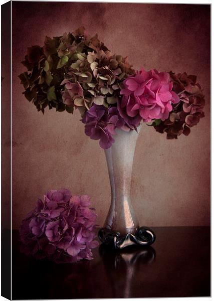  Hydrangea in vase Canvas Print by Eddie John
