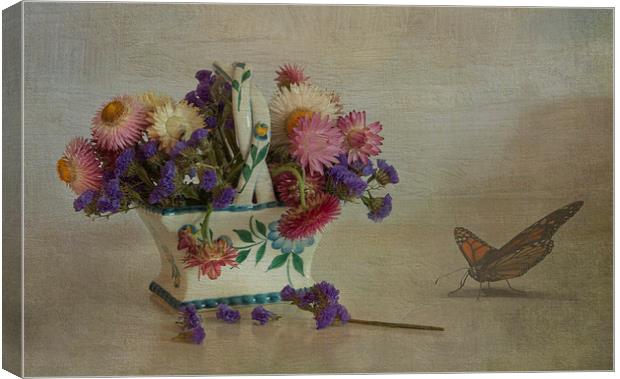 Everlasting flowers in vase with butterfly Canvas Print by Eddie John