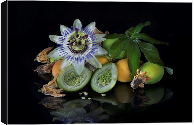 Passion flower and fruit Canvas Print by Eddie John
