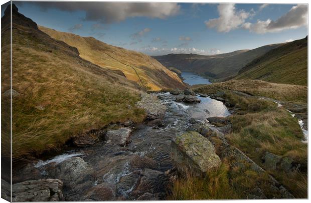 Small water beck Canvas Print by Eddie John