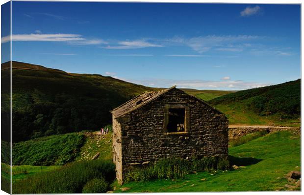 Swaledale Yorkshire Canvas Print by John Hare