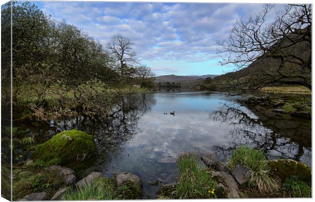Rydal Water Spring Canvas Print by John Hare