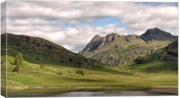 The Langdales Canvas Print by John Hare