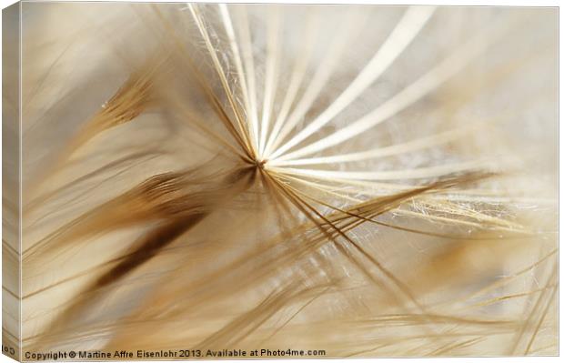 Abstract seeds Canvas Print by Martine Affre Eisenlohr