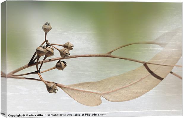 Eucalyptus branch Canvas Print by Martine Affre Eisenlohr
