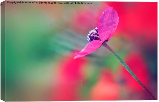 Papaver Canvas Print by Martine Affre Eisenlohr