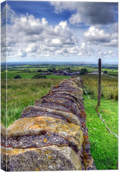 The Great Wall - Trough of Bowland Canvas Print by Victoria Limerick