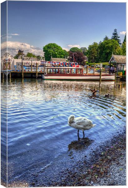 Quick Preen - Lake Windermere Canvas Print by Victoria Limerick
