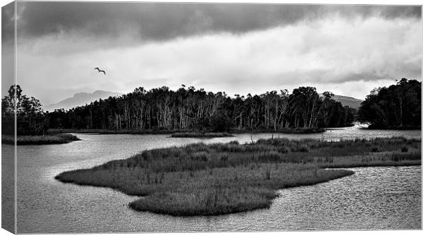 Backwater #3 Canvas Print by Dennis Gay