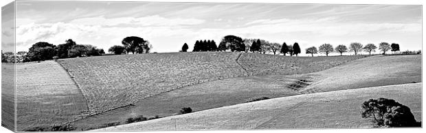 Comboyne Skyline bw Canvas Print by Dennis Gay