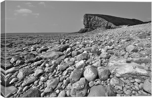 Nash Point Canvas Print by richard jones