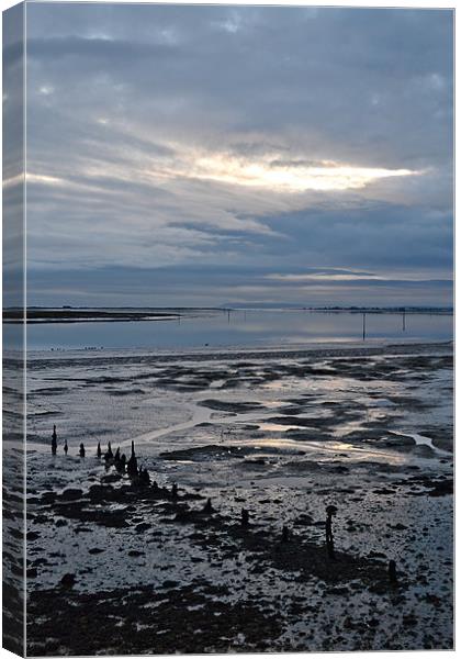 Chichester harbour low water Canvas Print by richard jones