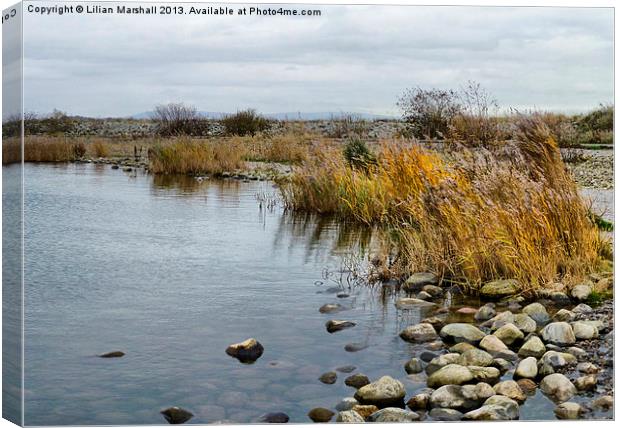 Fleetwood Nature Reserve. Canvas Print by Lilian Marshall