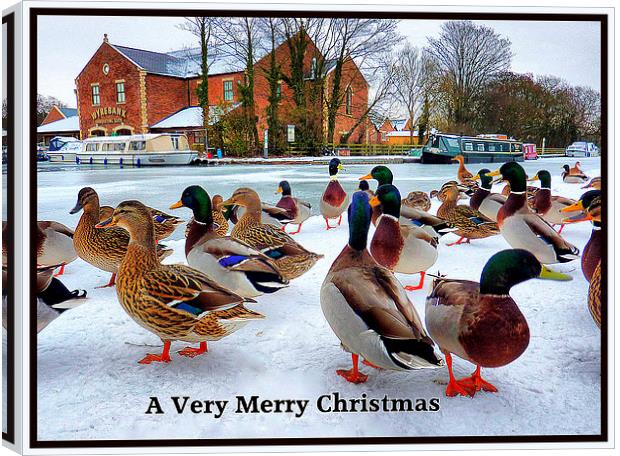 Merry Xmas to Everyone on P4ME Canvas Print by Lilian Marshall
