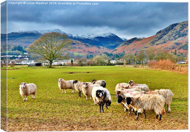 Outside of Coniston Village. Canvas Print by Lilian Marshall