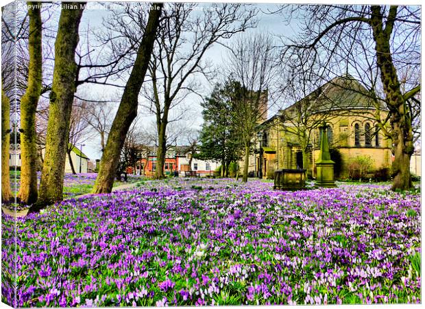 Springtime at St Chads. Canvas Print by Lilian Marshall