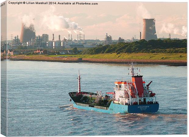 BP Chemicals, Saltend. Canvas Print by Lilian Marshall