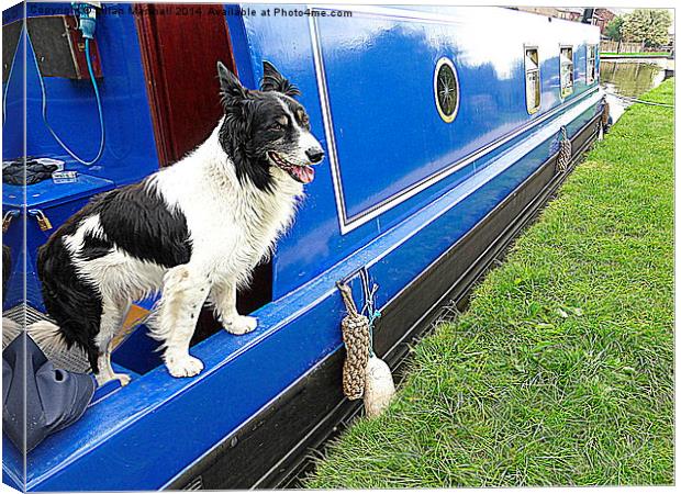  Collie aboard a barge. Canvas Print by Lilian Marshall