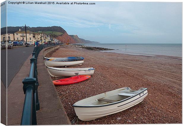  Sidmouth  Coastline. Canvas Print by Lilian Marshall