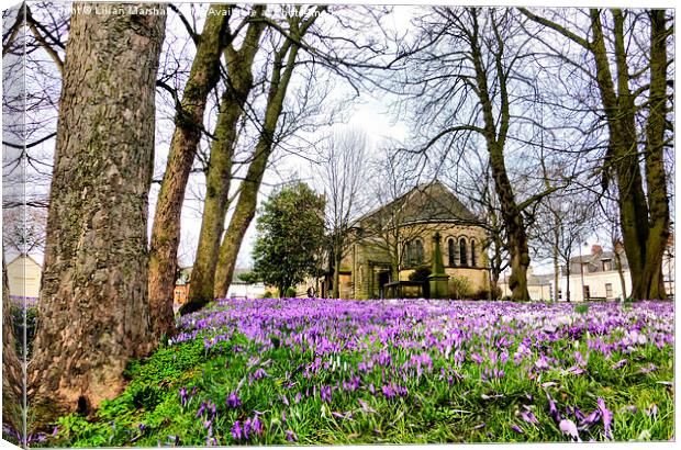  Spring time at St Chads. Canvas Print by Lilian Marshall