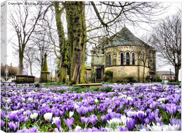 Springtime at St Chads.  Canvas Print by Lilian Marshall
