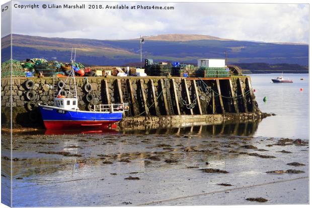 Fishermans Pier . Tobermoray Isle of Mull.  Canvas Print by Lilian Marshall