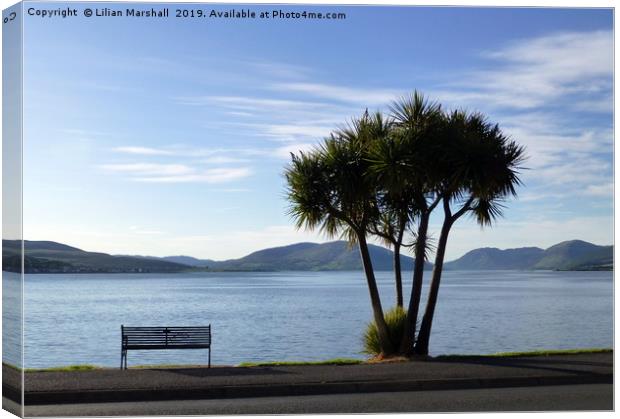 Palm trees on Rothesay Promenade. Isle of Bute. Canvas Print by Lilian Marshall