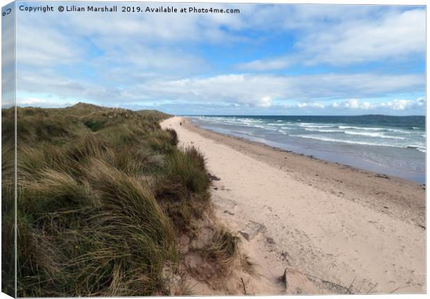 Sand Dunes between Seahouses and Bamburgh.  Canvas Print by Lilian Marshall