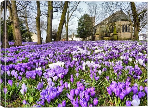 St Chads Church in Springtime.. Canvas Print by Lilian Marshall