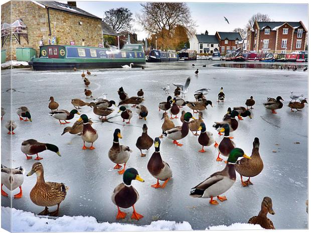 Garstang Basin Canvas Print by Lilian Marshall