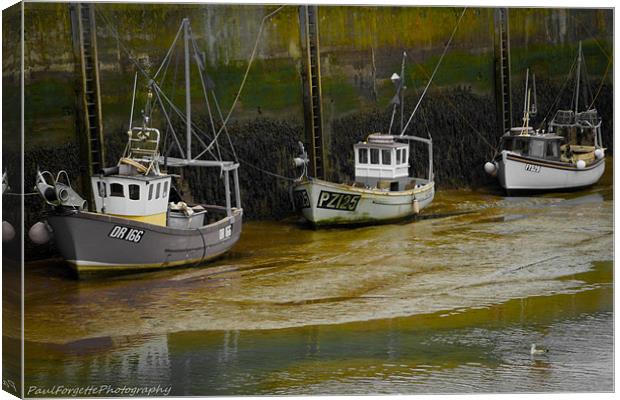 padstow trio green Canvas Print by paul forgette