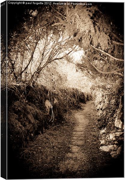 path through time Canvas Print by paul forgette