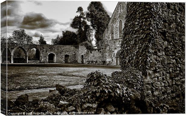 Hidden Abbey Canvas Print by paul forgette