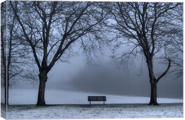 Bench in the park. Canvas Print by Ray Hammond