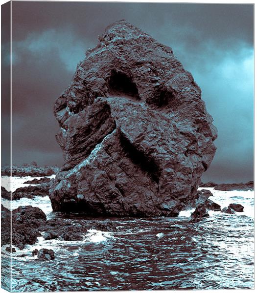 The Rock Face. Canvas Print by Ray Hammond