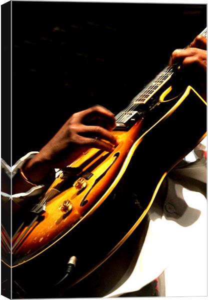 The Guitar Player Canvas Print by Hush Naidoo