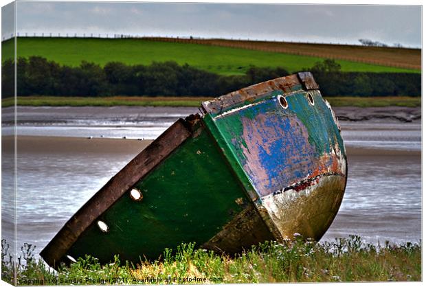 Abandoned Boat Canvas Print by Sandra Pledger