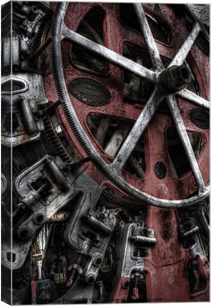 The Machine Canvas Print by Sandra Pledger