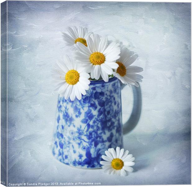 Daisies in a blue Jug Canvas Print by Sandra Pledger